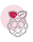 ikona - rpi raspberry pi
