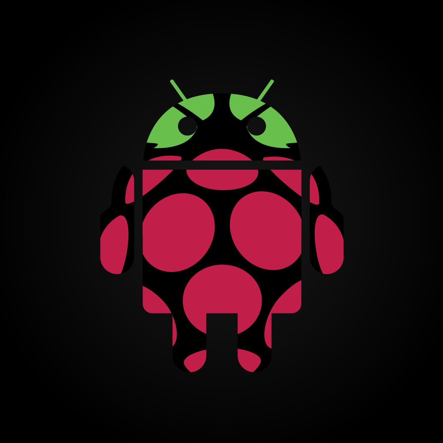 How To install Android On Raspberry pi 2 